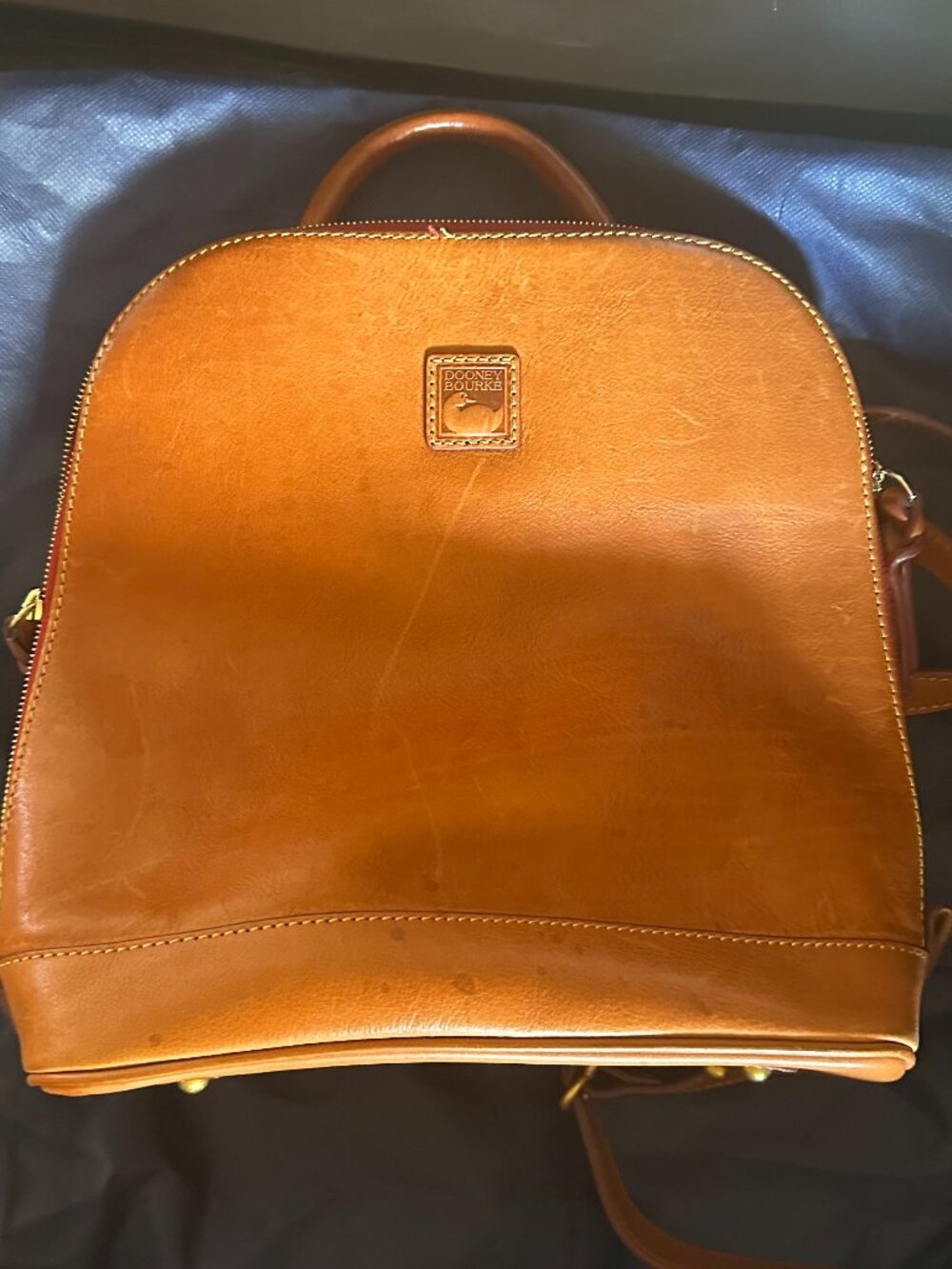 Dooney and Bourke Florentine Zip Pod Backpack
